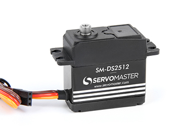 SM-DS2512